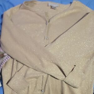LOFT Shimmering Beige Knit Top